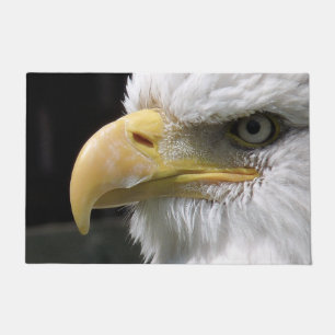 PAILLASSON EAGLE BIRD OF PREY