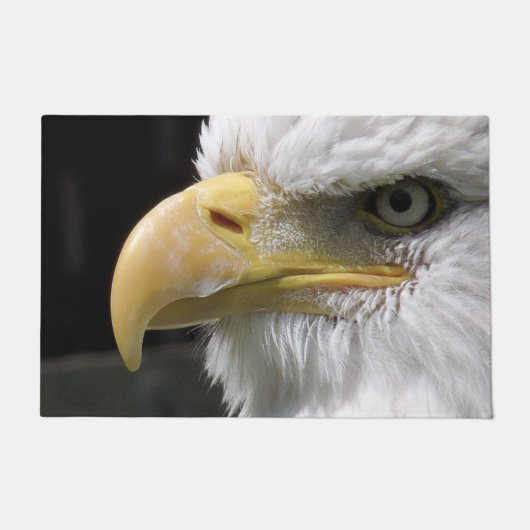 PAILLASSON EAGLE BIRD OF PREY   (Devant)