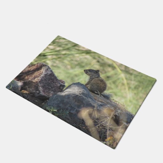 Paillasson Écureuil de roche de bébé (Incliné)