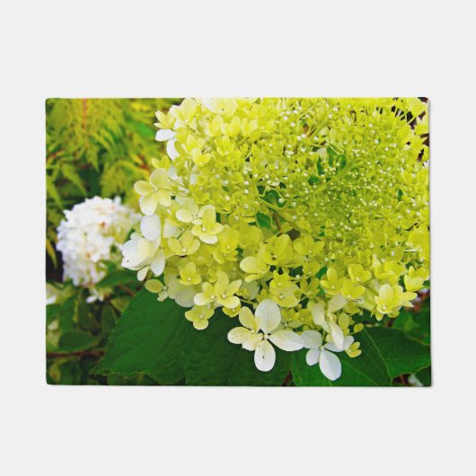 Paillasson Élégante Chartreuse Vert Limelight Hydrangea (Devant)