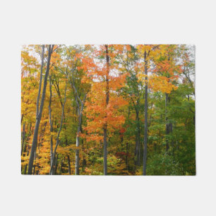 Paillasson Érables en automne Photographie de la nature