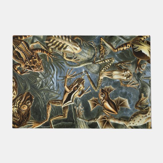 Paillasson Ernst Haeckel variété de grenouilles exotiques : B (Devant)