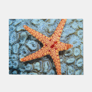 Paillasson Étoiles de mer sur un corail avec Polips