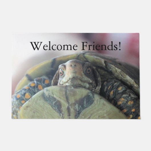 Paillasson Face de tortue (Devant)