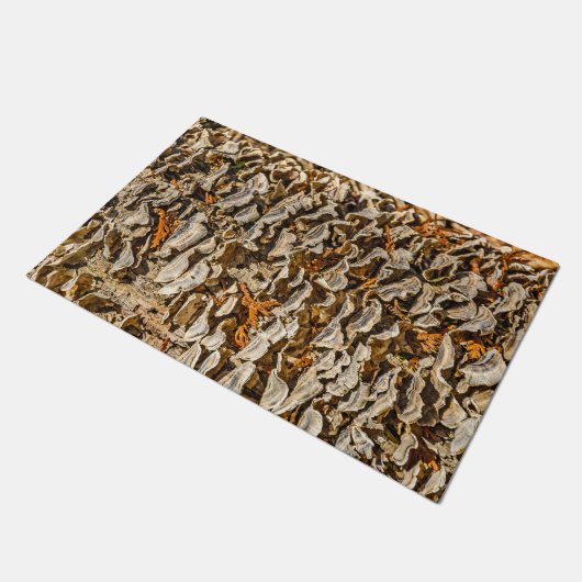 Paillasson Fascination avec les champignons (Incliné)