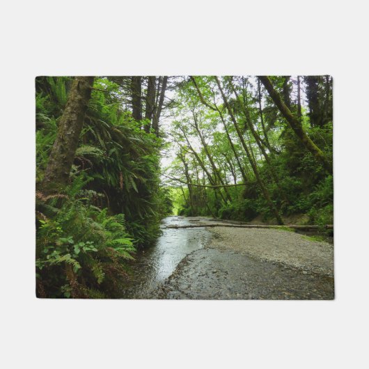 Paillasson Fern Canyon II au parc national Redwood (Devant)