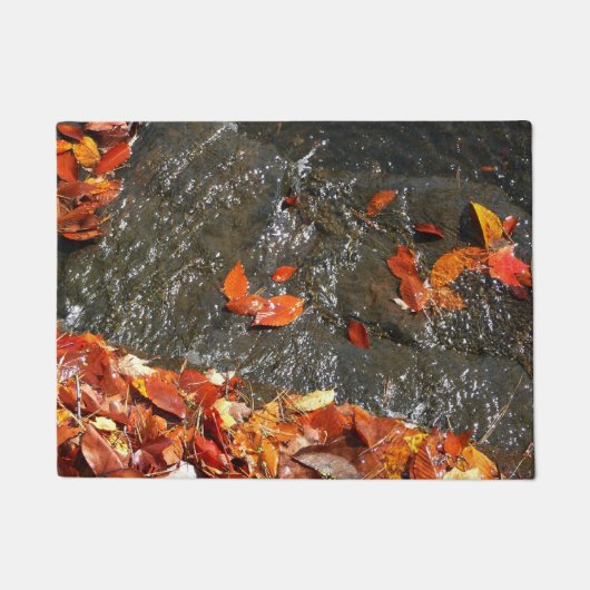 Paillasson Feuilles d'automne dans la cascade I Photographie (Devant)