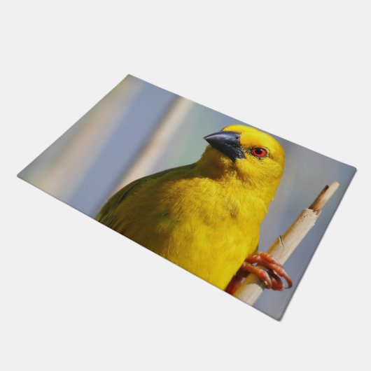 Paillasson Finch jaune (Incliné)