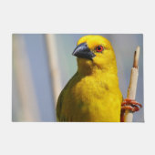 Paillasson Finch jaune (Devant)