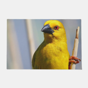 Paillasson Finch jaune