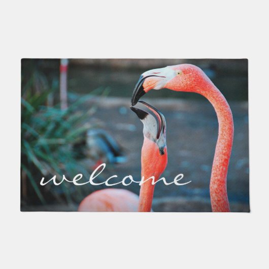 Paillasson Flamants roses roses Photo Bienvenue Script Modern (Devant)
