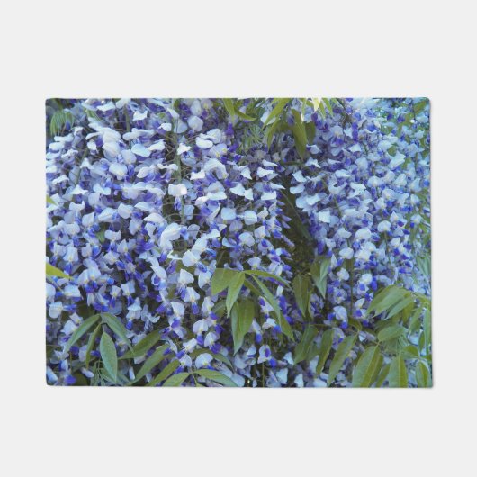 Paillasson Fleur de glycine à pendage pourpre (Devant)