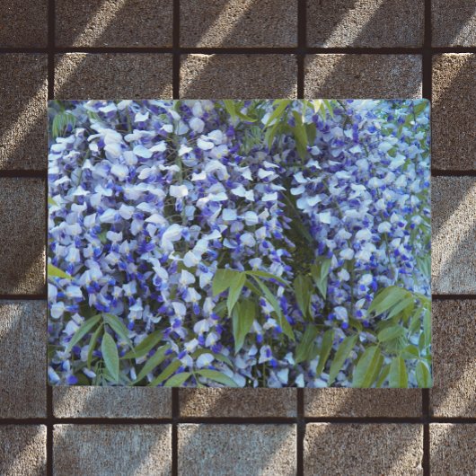 Paillasson Fleur de glycine à pendage pourpre