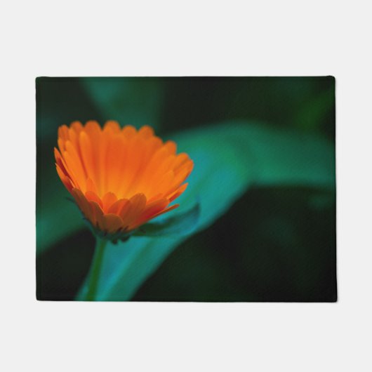 Paillasson Fleur de marguerite orange (Devant)