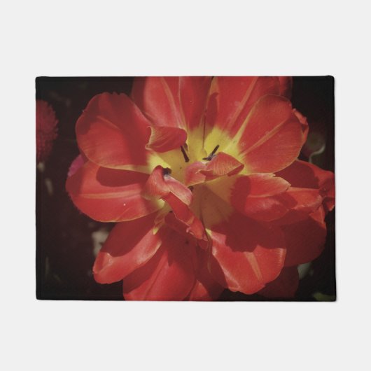 Paillasson Fleur de tulipe rouge (Devant)