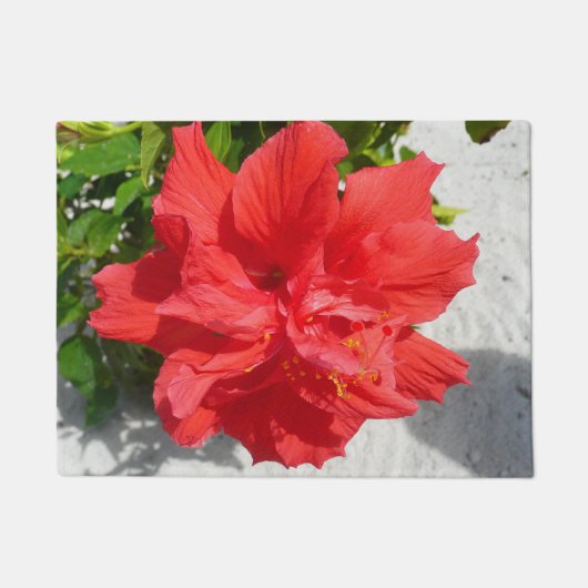 Paillasson Fleur double hibiscus rouge (Devant)