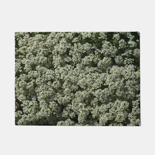 Paillasson Fleurs d'Alyssum doux Floral blanc (Devant)