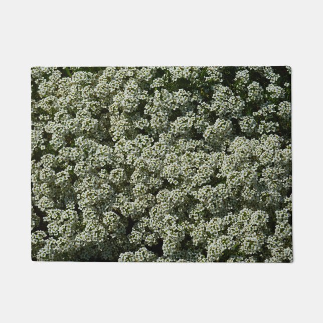 Paillasson Fleurs d'Alyssum doux Floral blanc (Devant)
