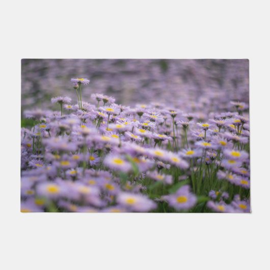 Paillasson Fleurs d'aster violet (Devant)