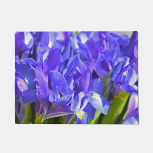 Paillasson Fleurs d'Iris (Devant)