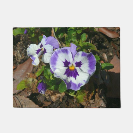 Paillasson Floral Purple and White Pansies (Devant)