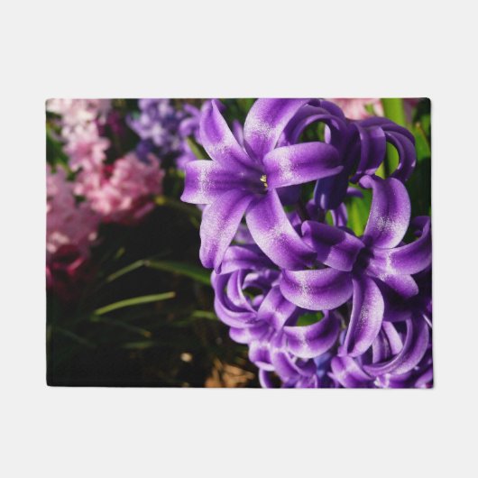 Paillasson Flore de printemps Blue Hyacinth II (Devant)