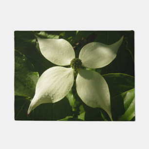 Paillasson Flore printanière du Dogwood illuminé