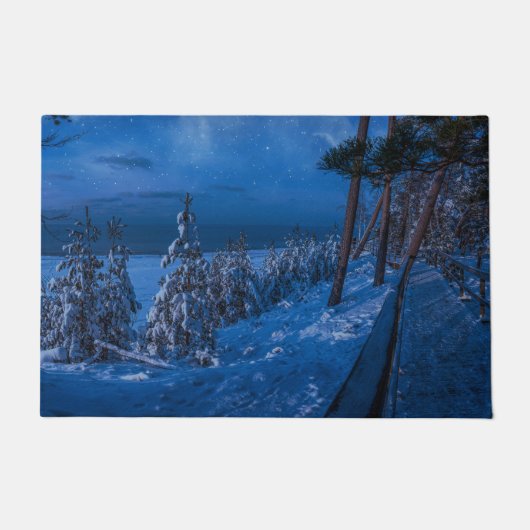Paillasson Forest path at winter night (Devant)