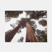 Paillasson forêt, arbre (Devant)