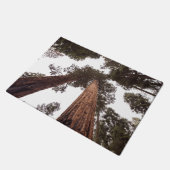 Paillasson forêt, arbre (Incliné)