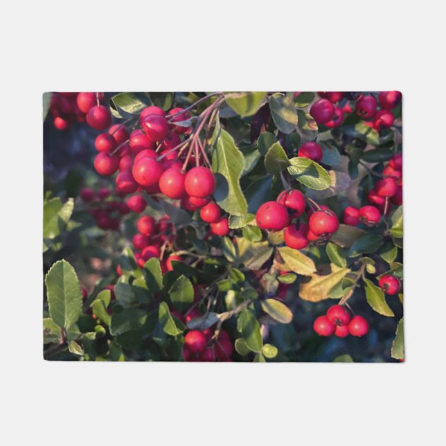 Paillasson Fruit d'automne (Devant)