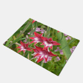 Paillasson Gladiolas rouge et blanc Botanique d'été (Incliné)