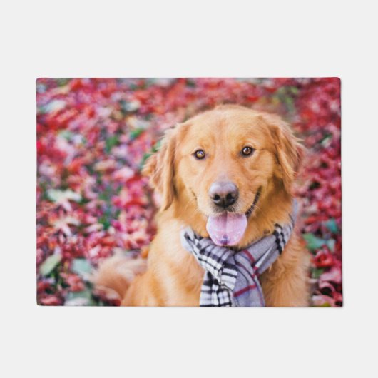 Paillasson Golden Retriever in Scarf (Devant)