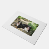 Paillasson groupe bernais de rouille (Incliné)