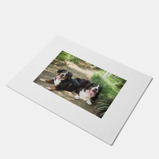 Paillasson groupe bernais de rouille (Incliné)