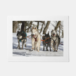 Paillasson groupe de travail de chien de traîneau sibérien