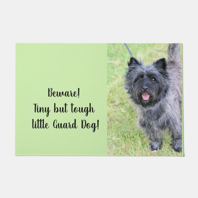 Paillasson Heureux (Devant)