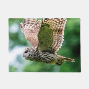 Paillasson Hibou barré en vol