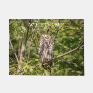 Paillasson Hibou barré somnolent