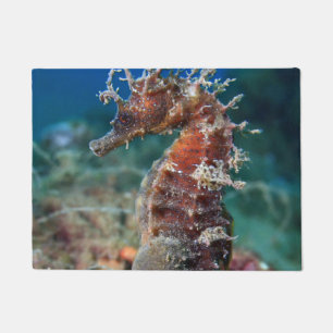 Paillasson Hippocampe Ramulosus de l'hippocampe