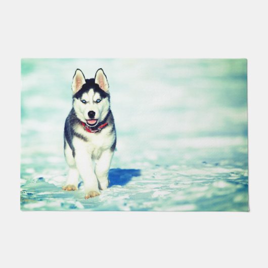 Paillasson Husky (Devant)