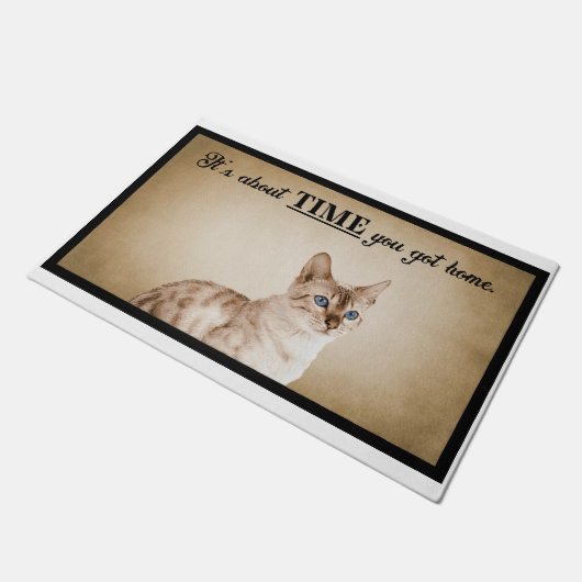 Paillasson Il est temps que vous arriviez chez vous Chat amér (Incliné)