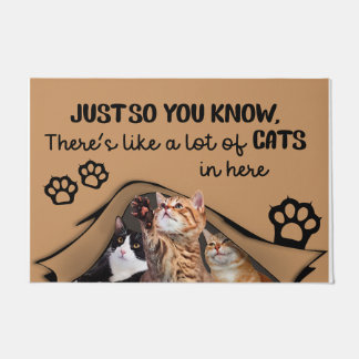 Paillasson Il Y A Beaucoup De Chats Ici, Mat Intérieur