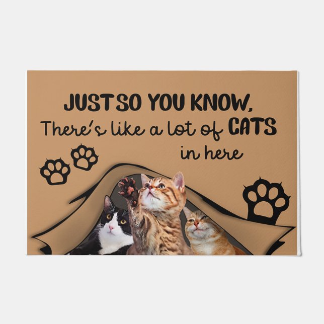 Paillasson Il Y A Beaucoup De Chats Ici, Mat Intérieur (Devant)