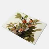 Paillasson Illustration Audubon American Robin Wildlife Bird (Incliné)