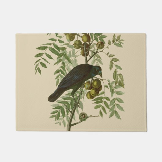Paillasson Impression d'oiseau Grackle violet d'Audubon Botan (Devant)