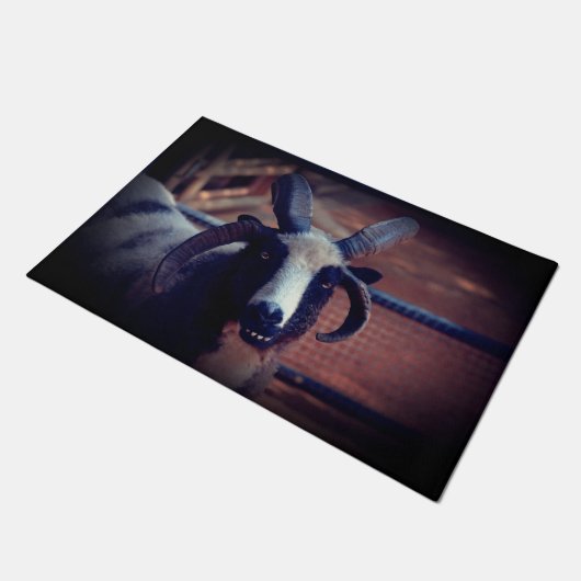 Paillasson Jacob Sheep (Incliné)