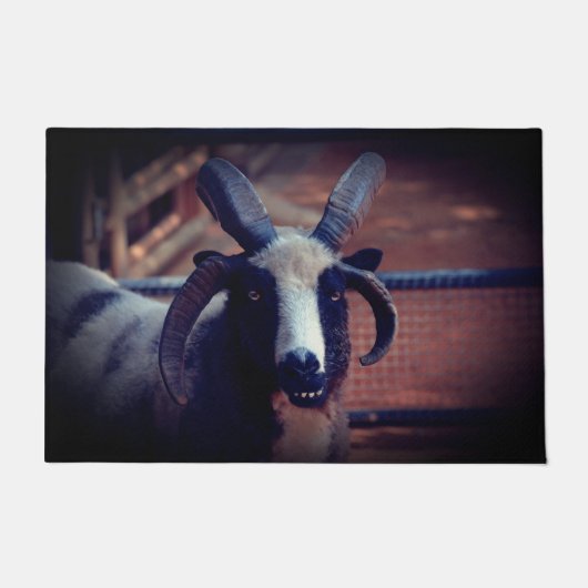 Paillasson Jacob Sheep (Devant)