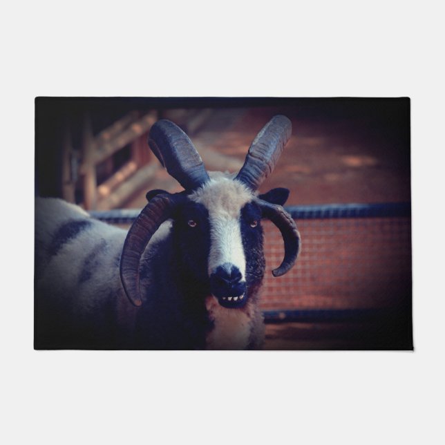 Paillasson Jacob Sheep (Devant)