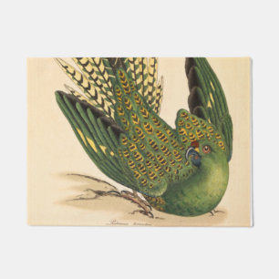 Paillasson James Sowerby Parrot terrestre, Psittacus terrestr